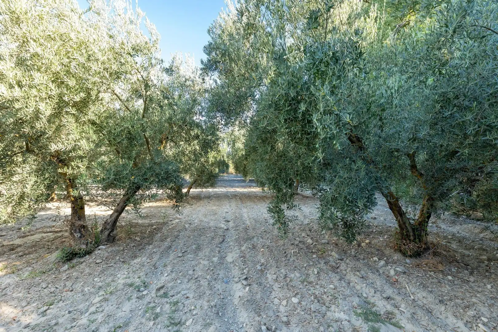 Rustikales Grundstück zum Verkauf in Calle rio bermejo, imagen 19