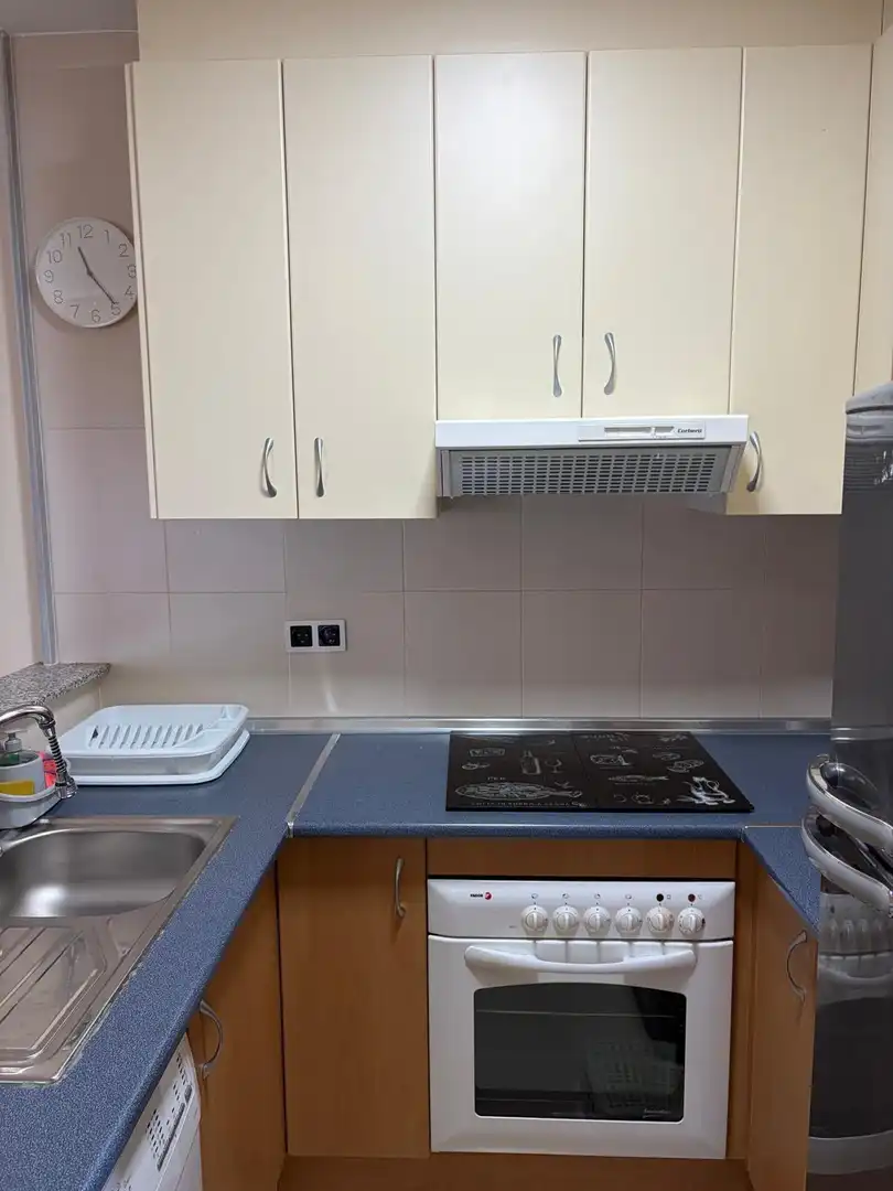 Apartament amb terrassa en venda a Los Collados-Los Geraneos, imagen 9
