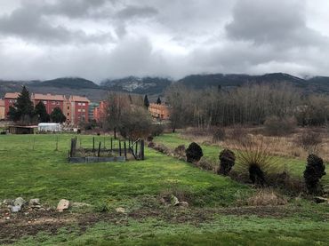 Terreni e lotti in vendita a TOLLA MOLINO 2