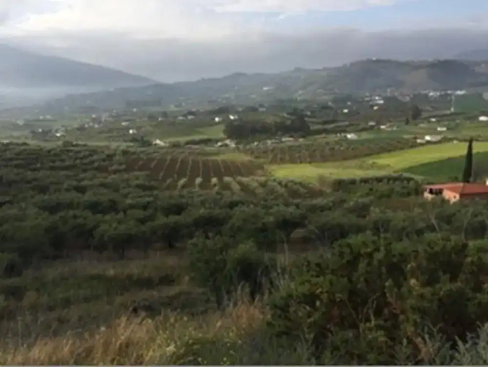 Terreni e lotti in vendita a Valtocado - La Alquería - La Atalaya, imagen 12