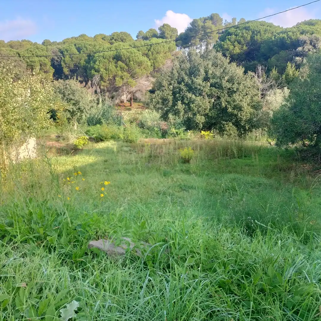 Residential land for sale in Carretera Sagrera 28, imagen 4