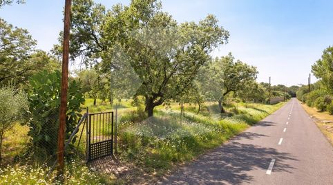 Foto 3 de Residencial en venta en Arrabal Tres Arroyos Ar-9, Carretera de Sevilla - Los Montitos, Badajoz Capital