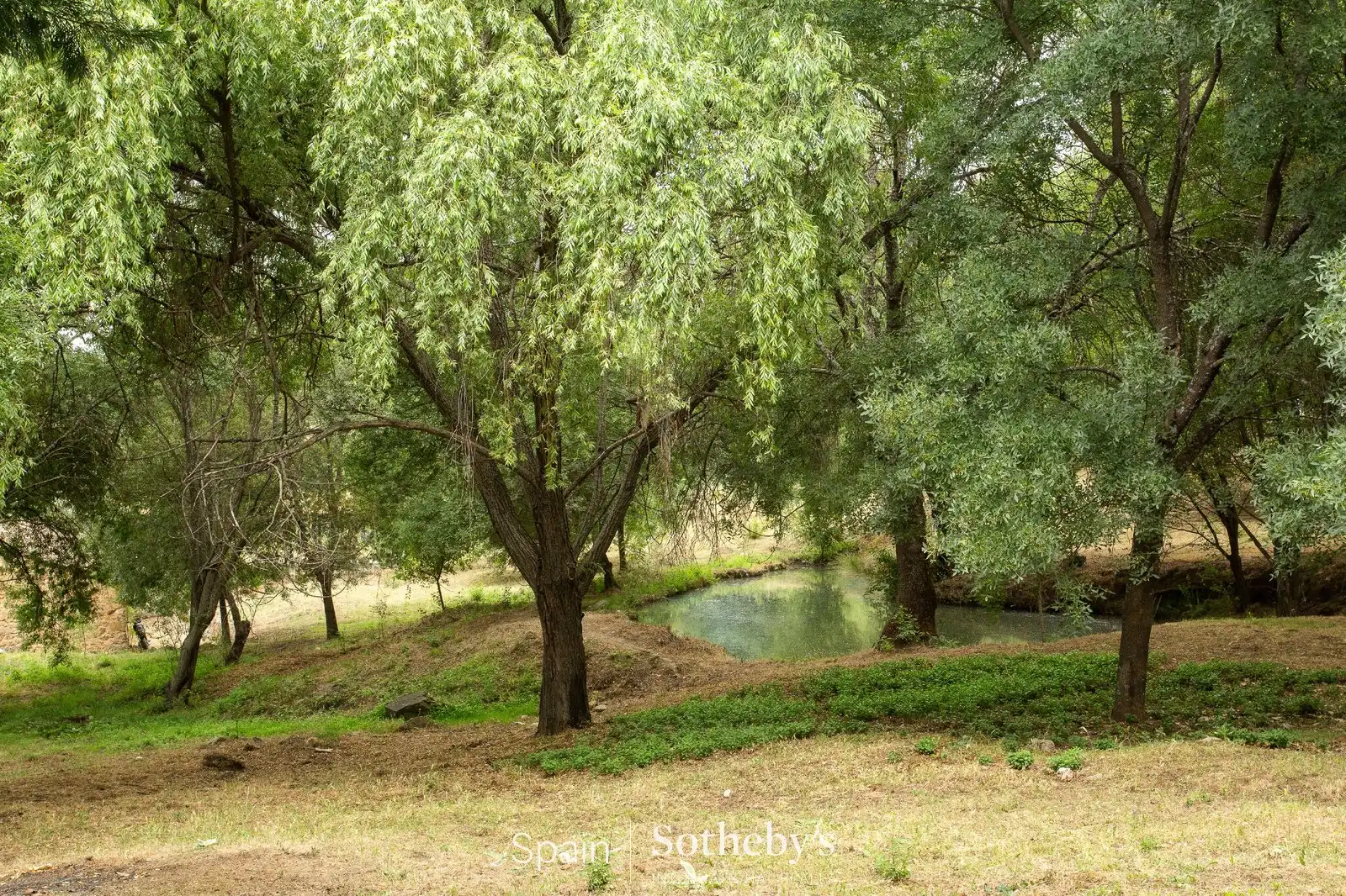 Residential for sale in Cuacos de Yuste