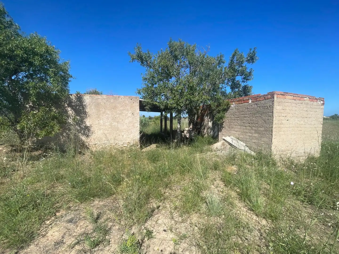 Land for sale in Alcalà de Xivert