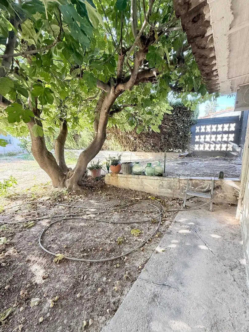 Terrain rustique à vendre à Cadrete, imagen 16