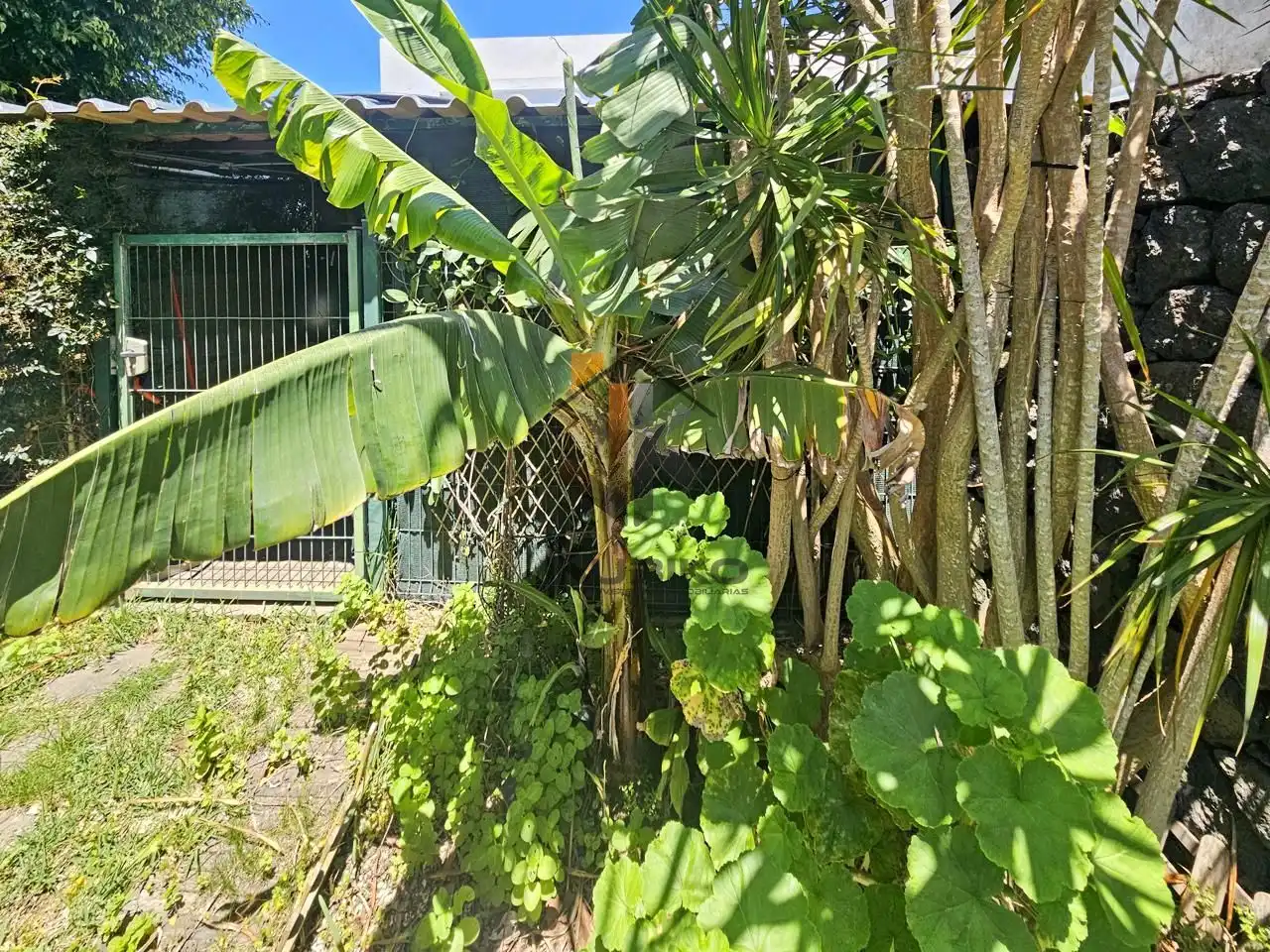 Jardín de Casa o chalet en venta en Tacoronte con Aire acondicionado, Jardín privado y Terraza
