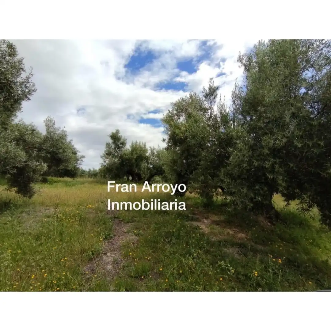 Terrenos y solares en venta en Úbeda, imagen 2