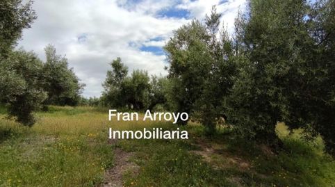 Terreno en venta en Carretera Úbeda-Madrid, Úbeda, immagine 2