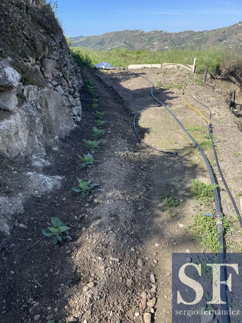 Jardín de Finca rústica en venta en Cómpeta