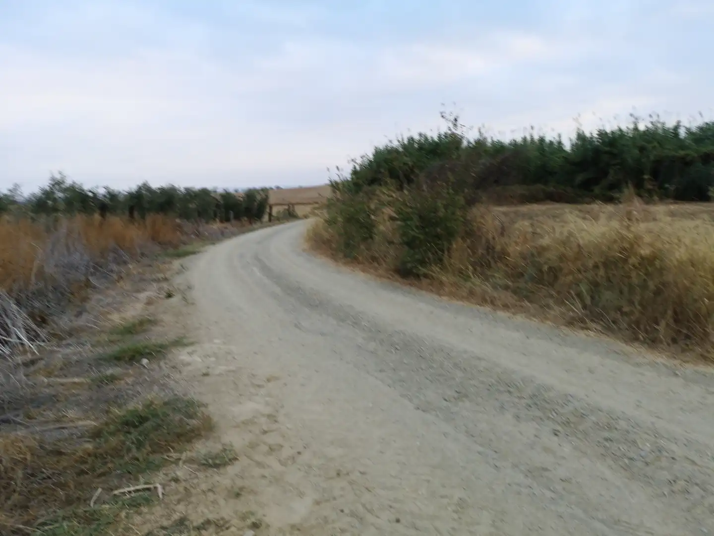 Terreni e lotti in vendita a Paraje Arrogil o Pedregal, imagen 9