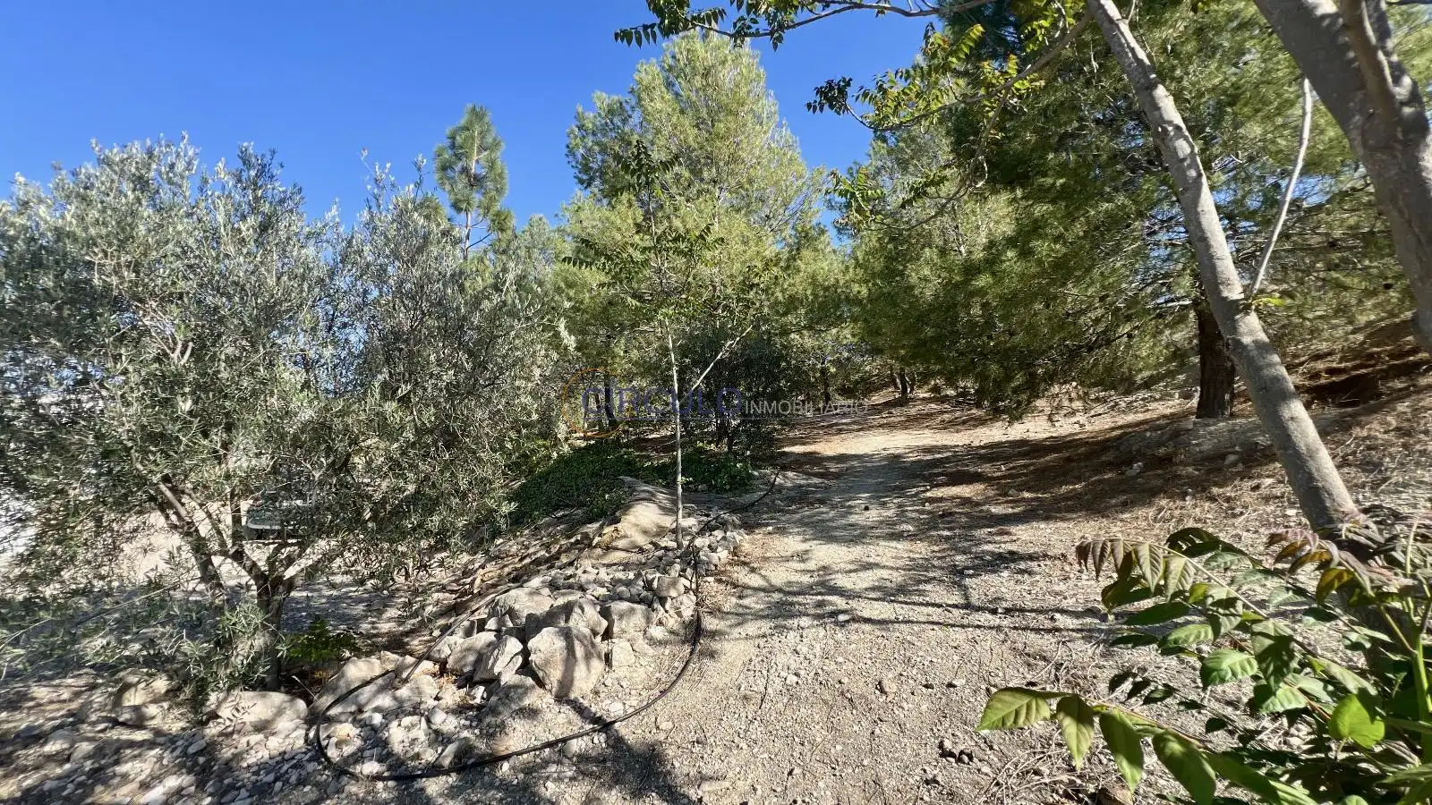 Casa o chalet en venta en Lorca con Trastero y Piscina