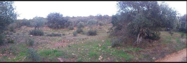 Terreno residencial en Venta en Villanueva del Duque