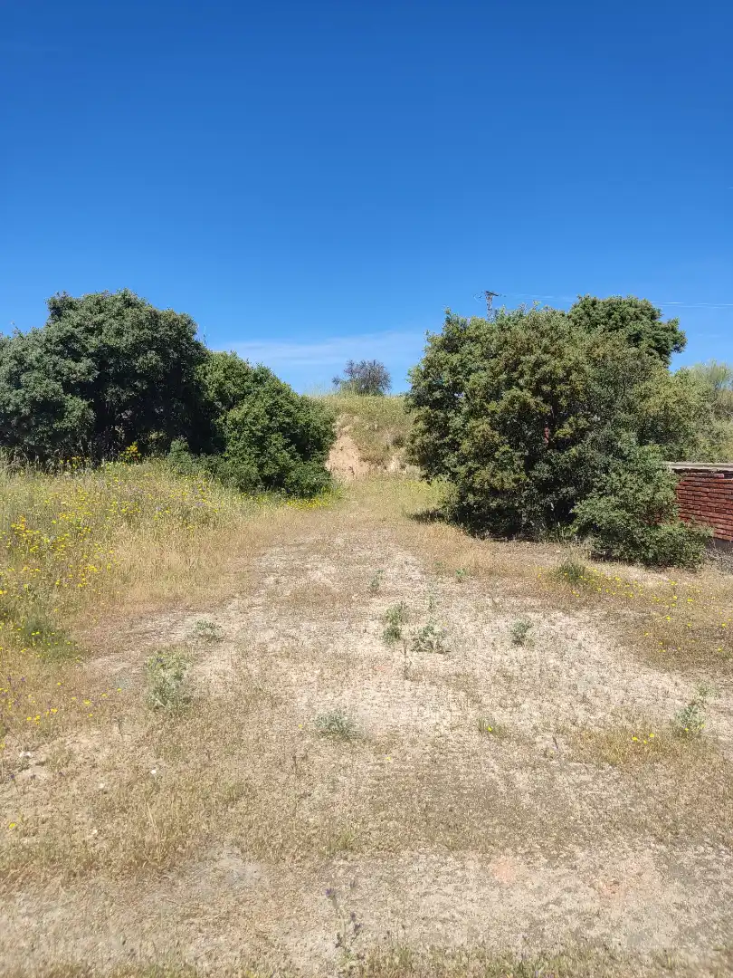 Land for sale in Navalcarnero