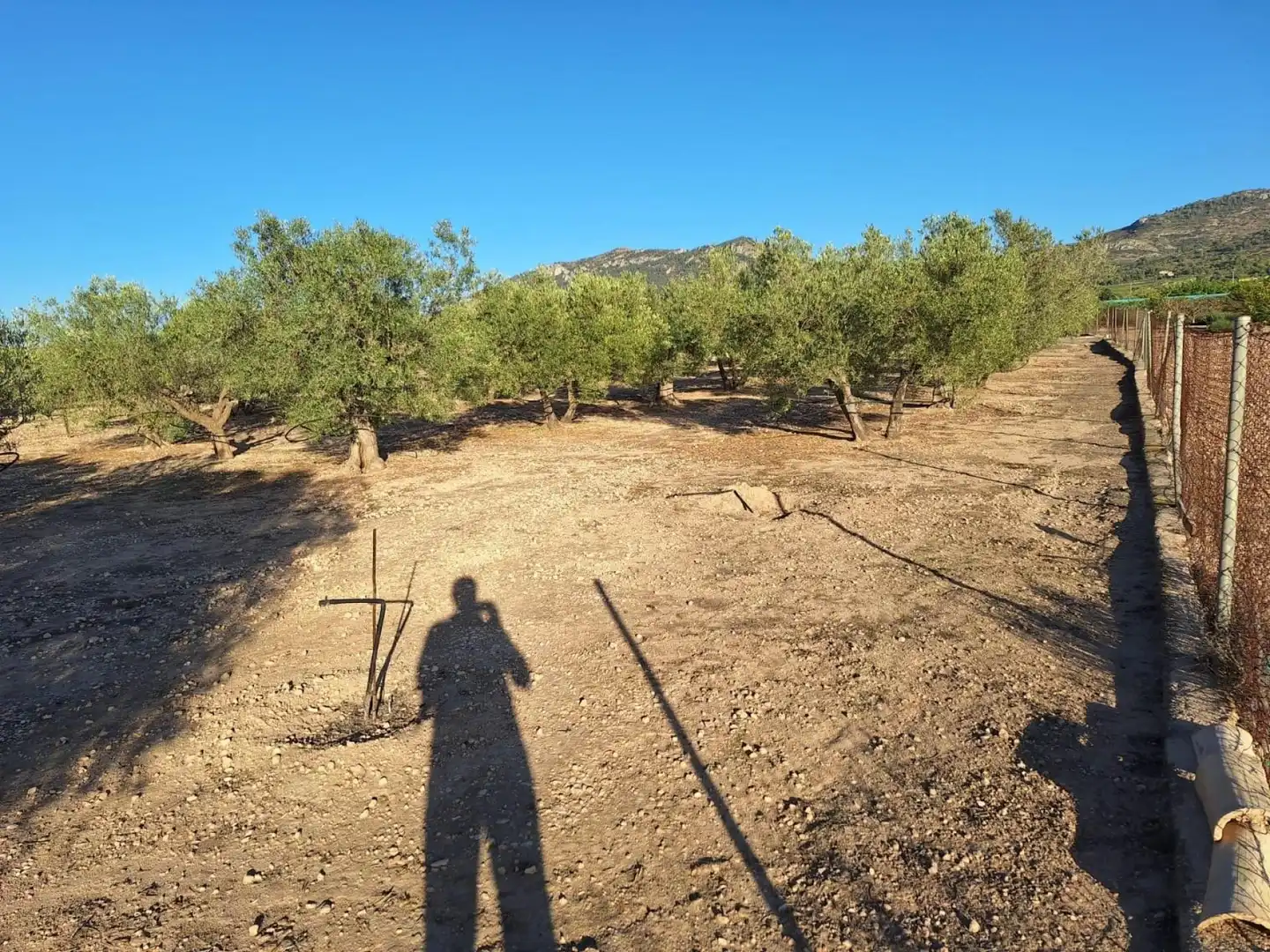Finca rústica en venta en Villena con Terraza y Piscina