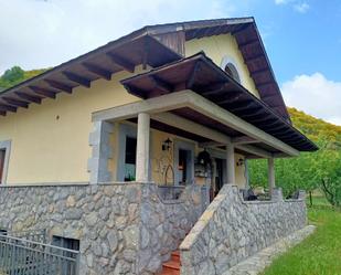 Exterior view of House or chalet for sale in Murias de Paredes  with Terrace