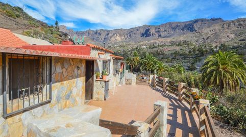 Foto 3 de Finca rústica en venta en San Bartolomé Interior, San Bartolomé de Tirajana