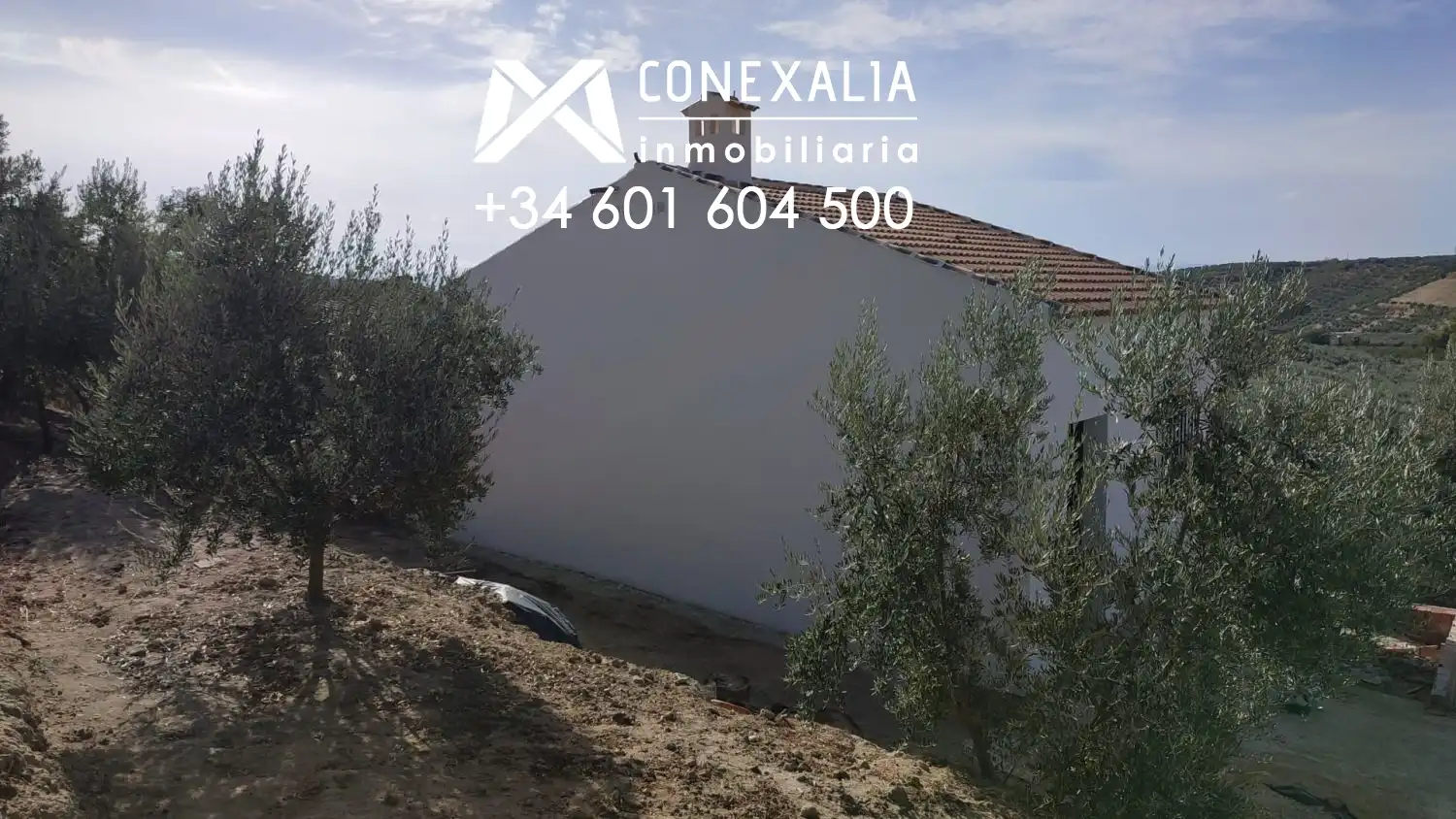 Country homes for sale in Alcalá del Valle