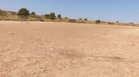 Foto 4 de Finca rústica en venta en Aledo, Murcia