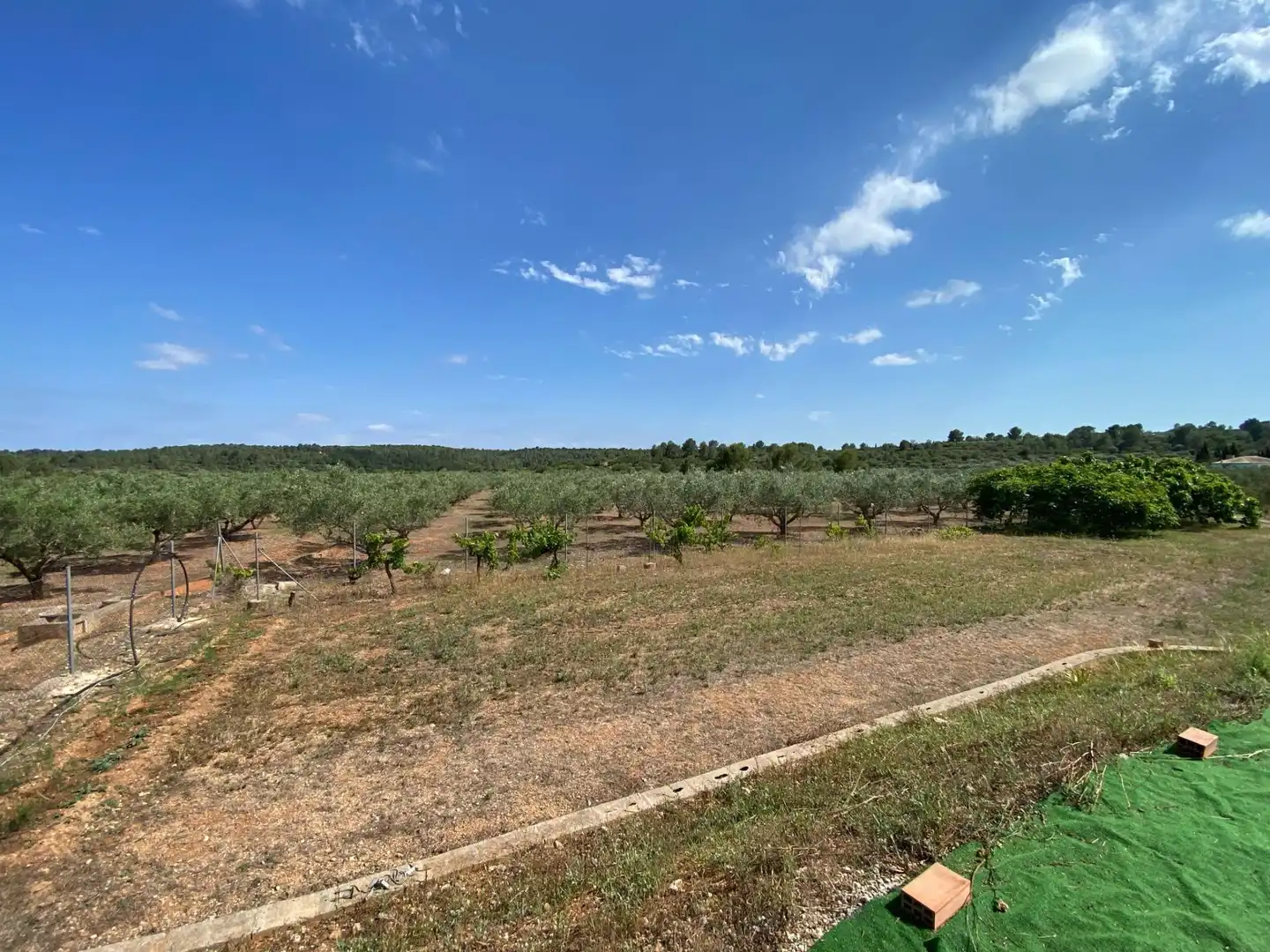 Casa o chalet en venta en Bolbaite