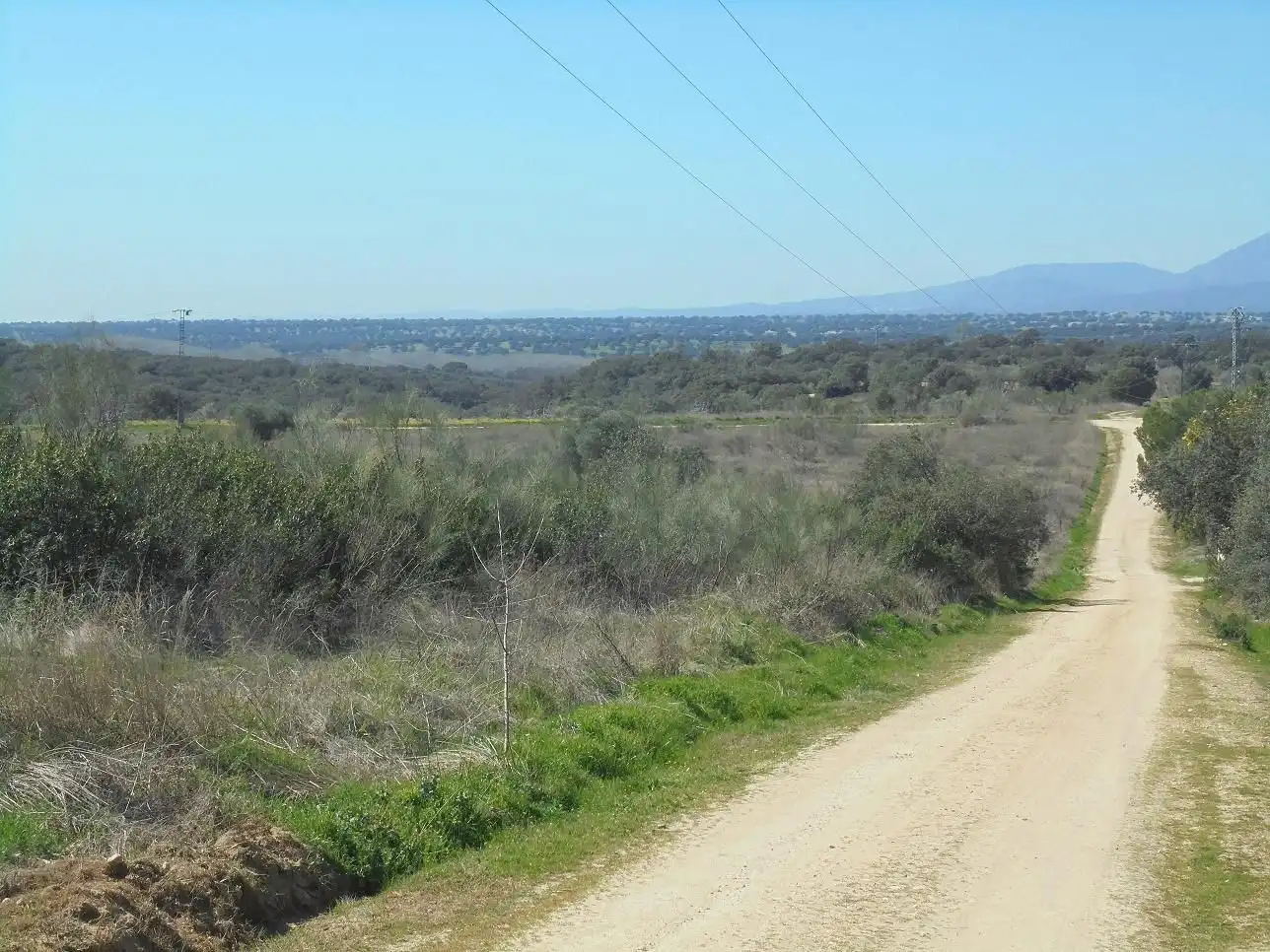 Residencial en venta en Hormigos