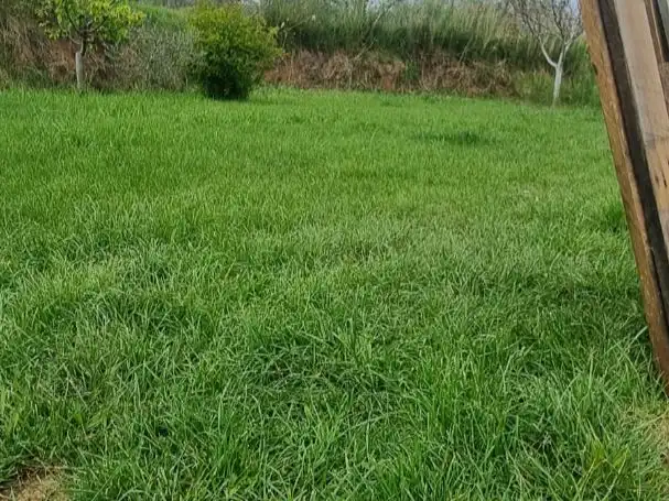 Terreno rustico in vendita a Calle del Carmen 6, imagen 7