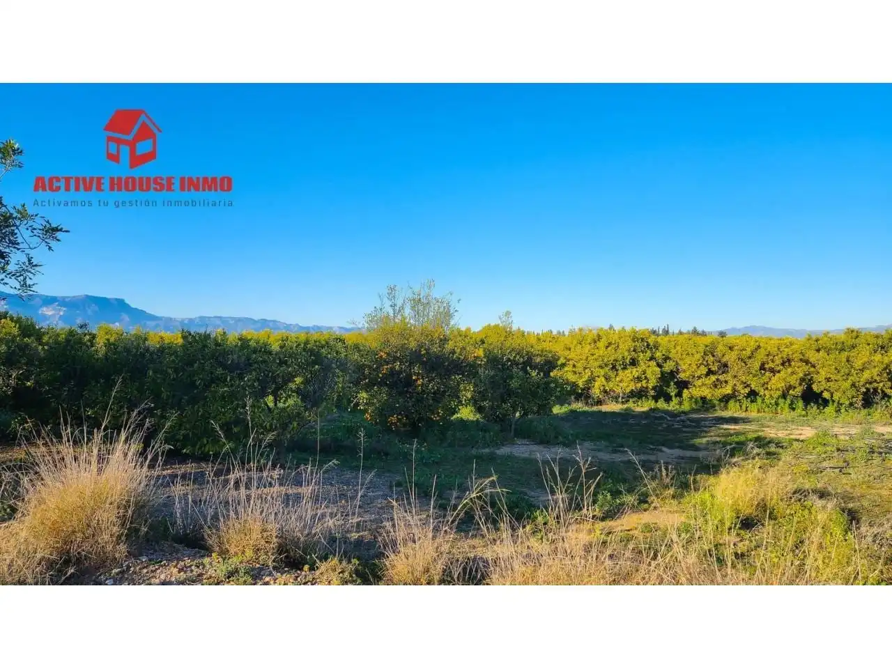 Terreno rustico in vendita a Calle Pol 12 Parc 100, imagen 15