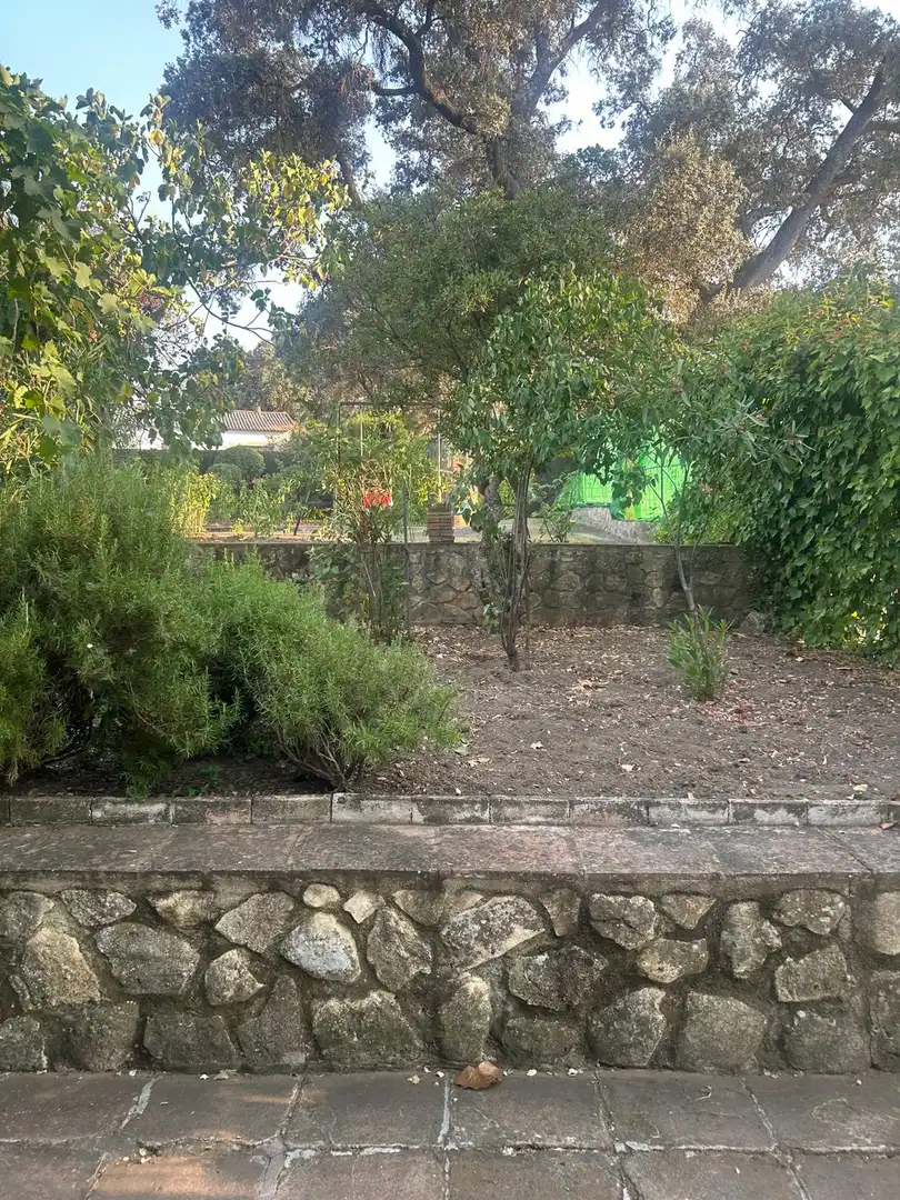 Jardí de Finca rústica en venda en Centro