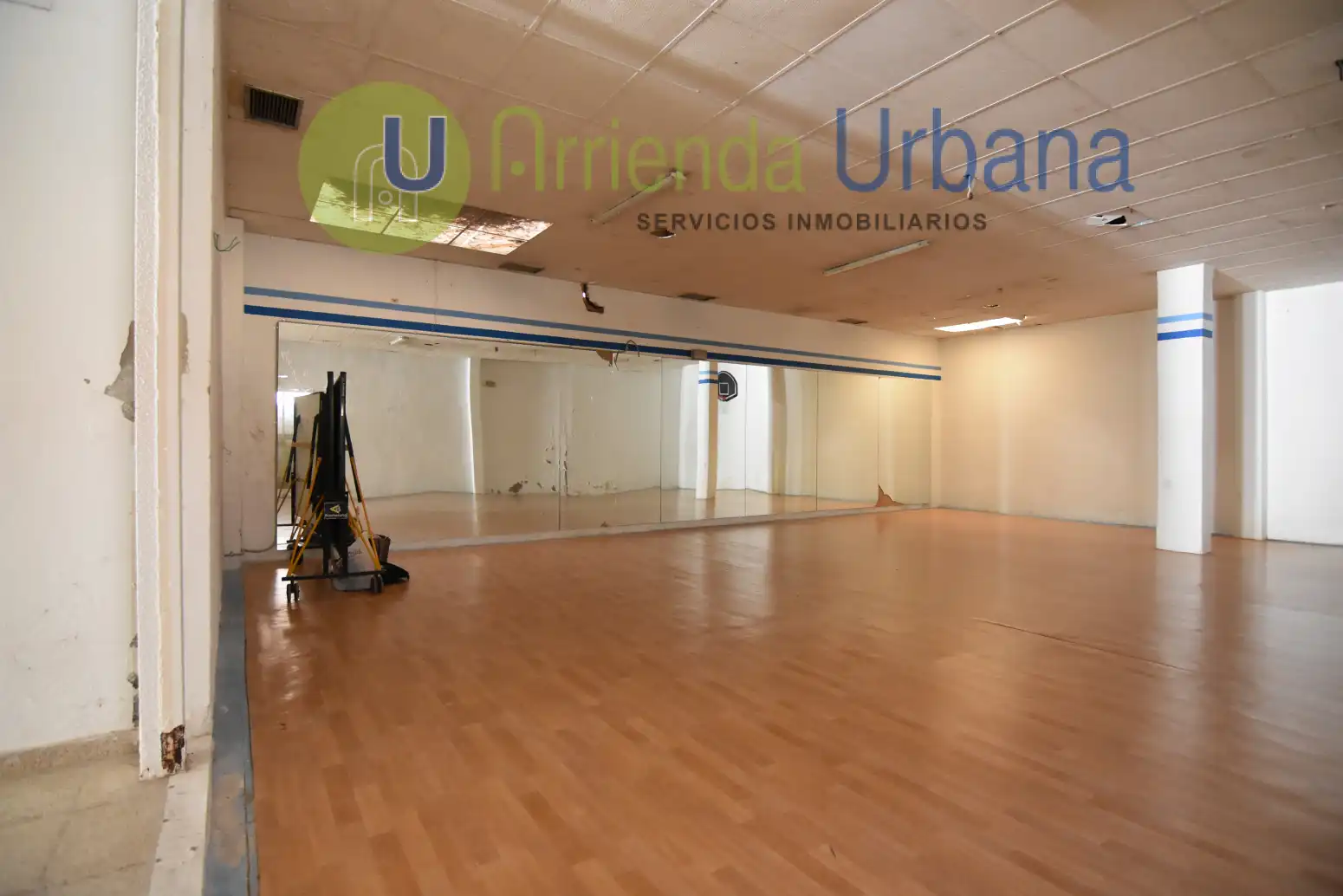 Commercial properties for sale in CL JARDINES, Centro