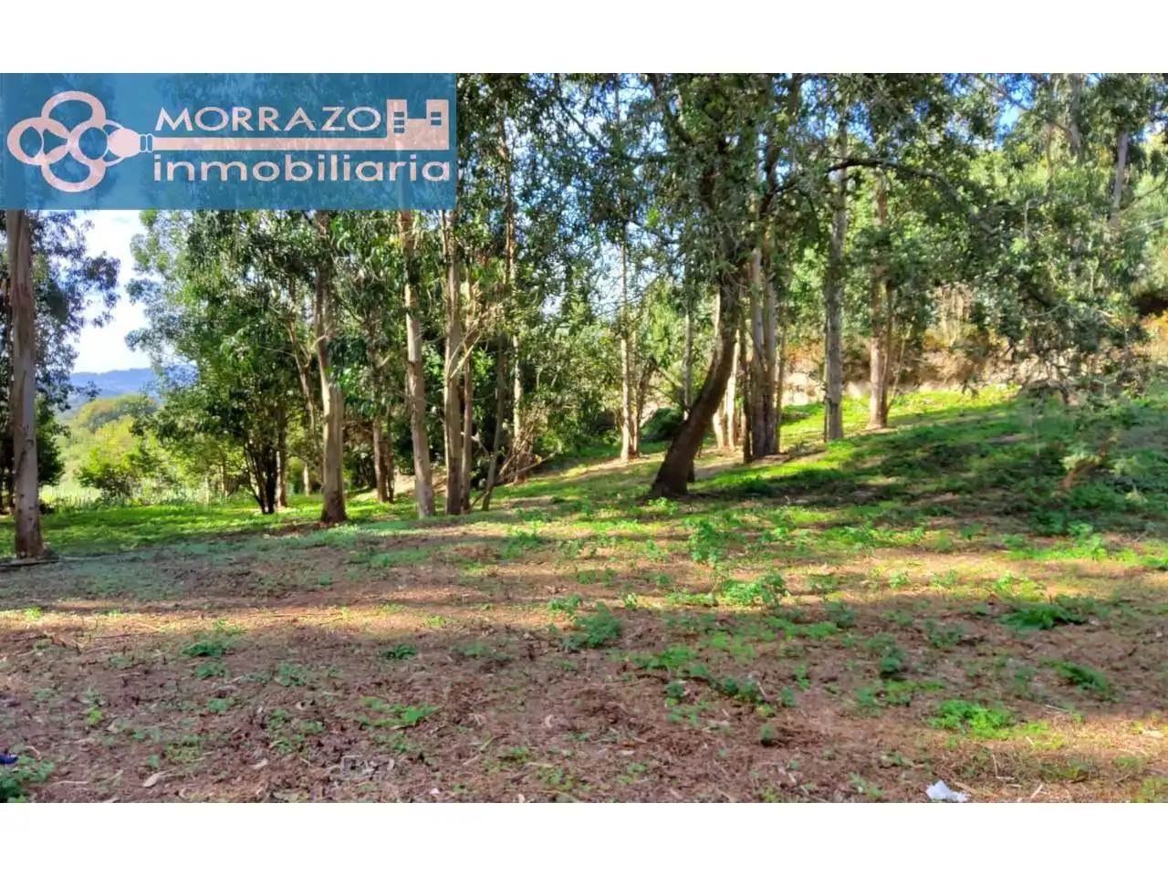 Terreno rustico in vendita a Bueu, imagen 33