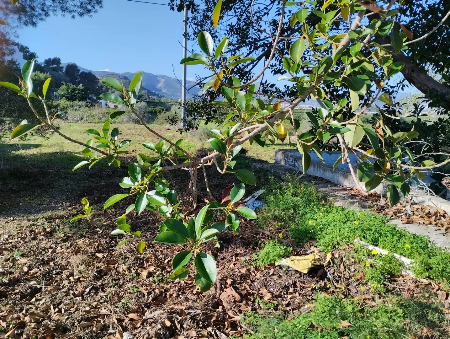 Finca rústica en venta en La Vall d'Ebo