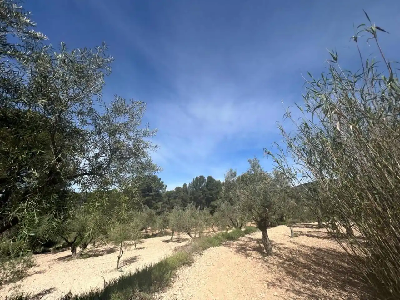 Chalet con jardín en venta en Calle Poligono, imagen 127
