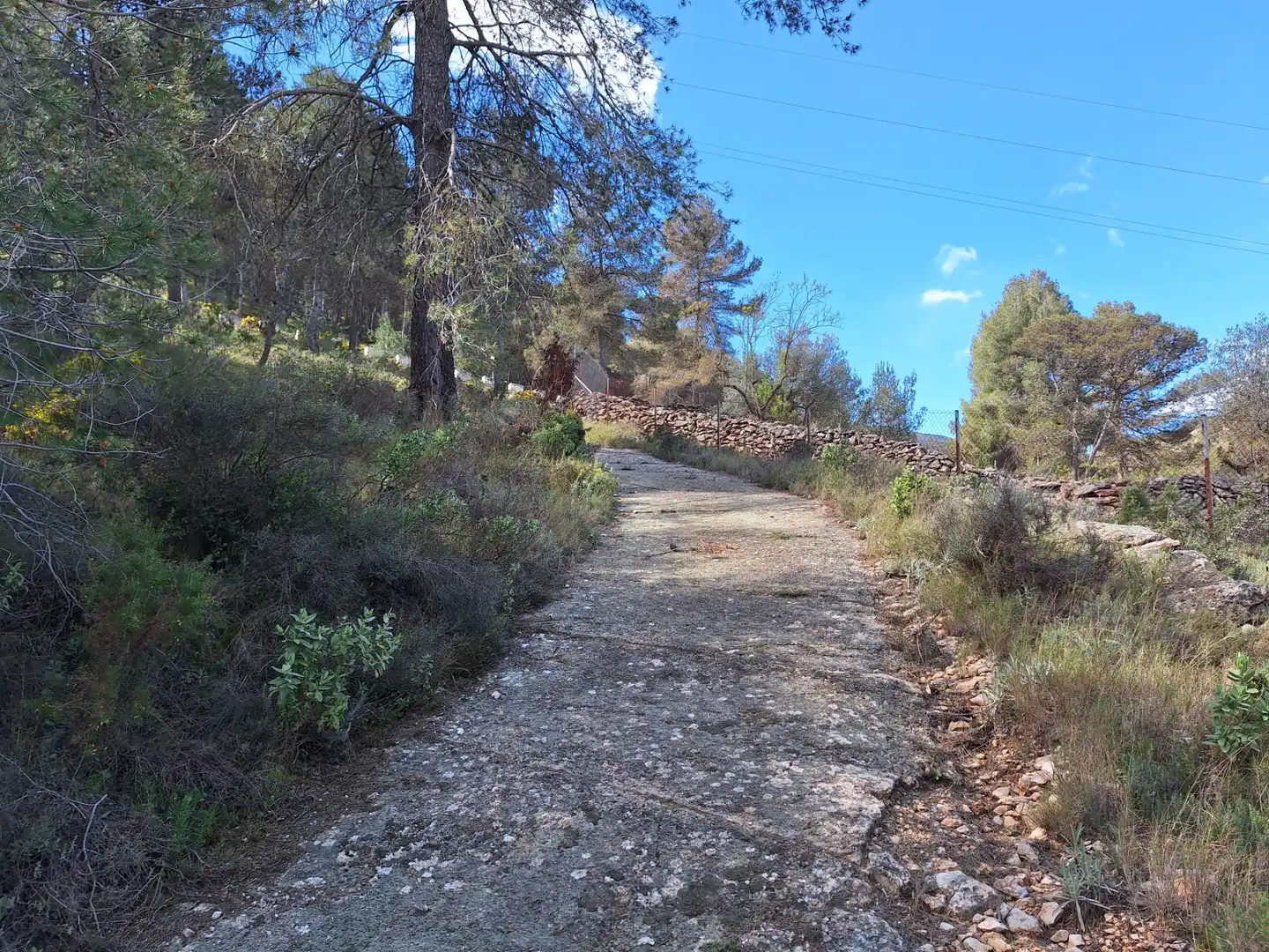 Vista exterior de Finca rústica en venda en Alcoy / Alcoi amb Traster i Moblat