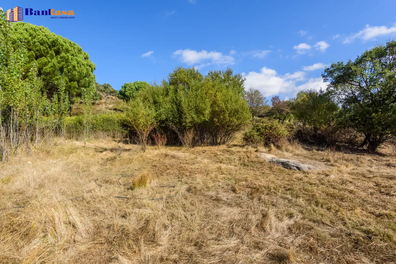 Casa o xalet en venda en Cortes de la Frontera amb Calefacció, Jardí privat i Moblat