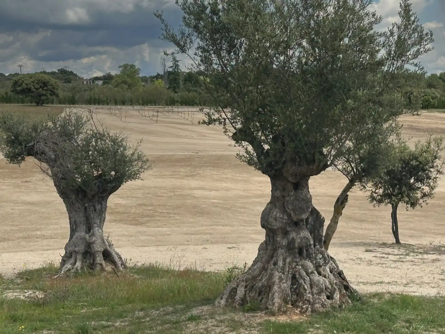 Terreno en venta en Madrid
