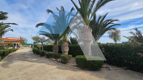 Foto 4 de Casa o chalet en venta en Las Bayas, Alicante