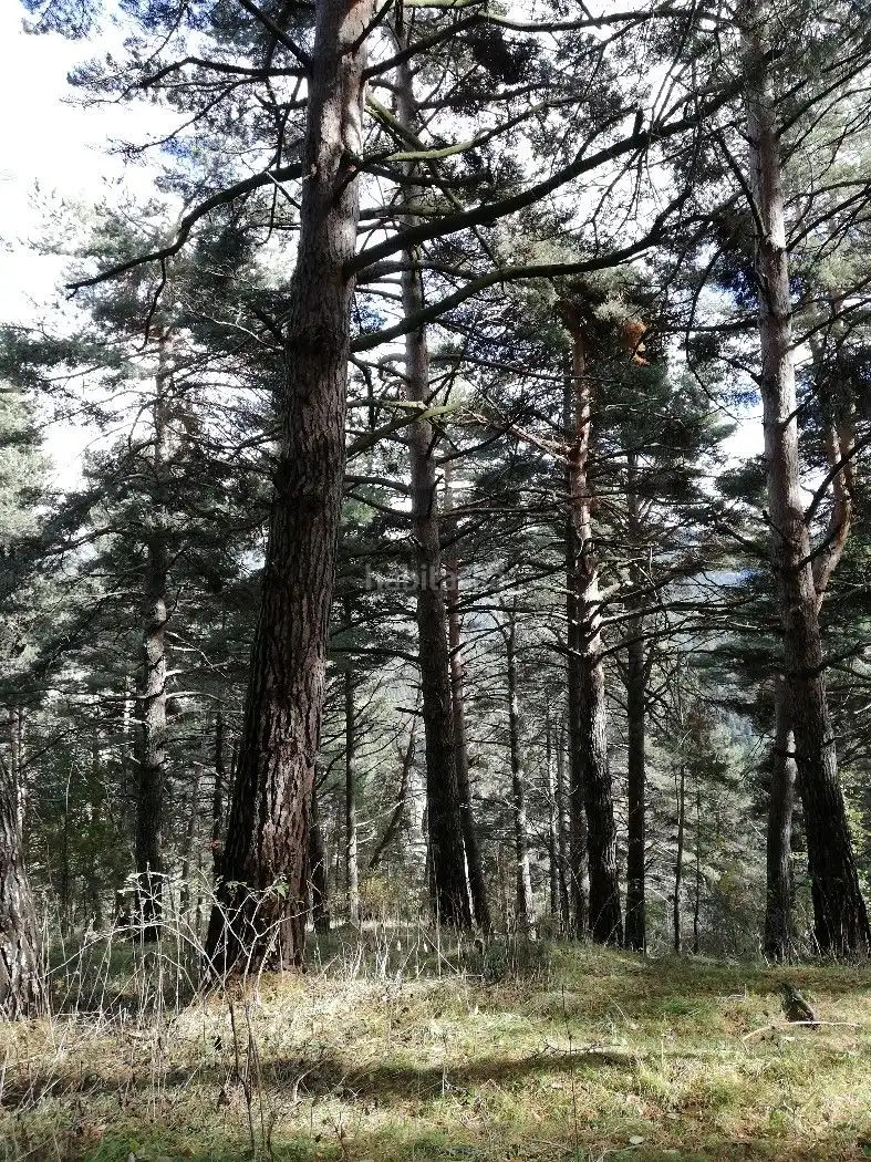 Wohnbaugrundstück zum Verkauf in Avinguda de la Molina 142, imagen 3