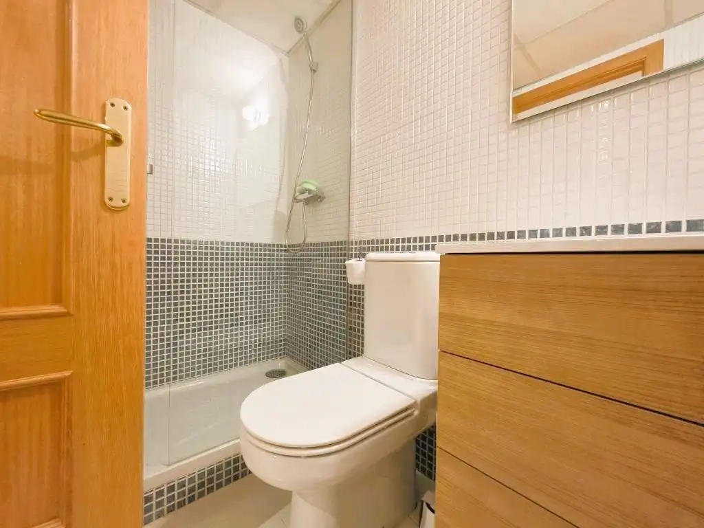 Penthouse with pool to rent in Avenida MARIA VICTORIA ATENCIA, imagen 18