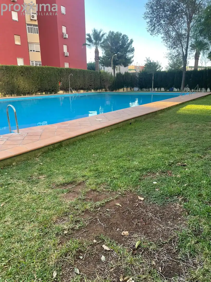 Appartamento con piscina in vendita a Centro, imagen 5