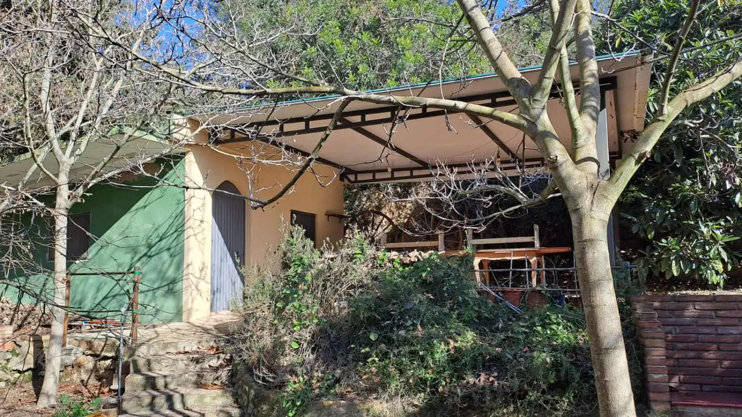 Vista exterior de Finca rústica en venda en Castellvell del Camp