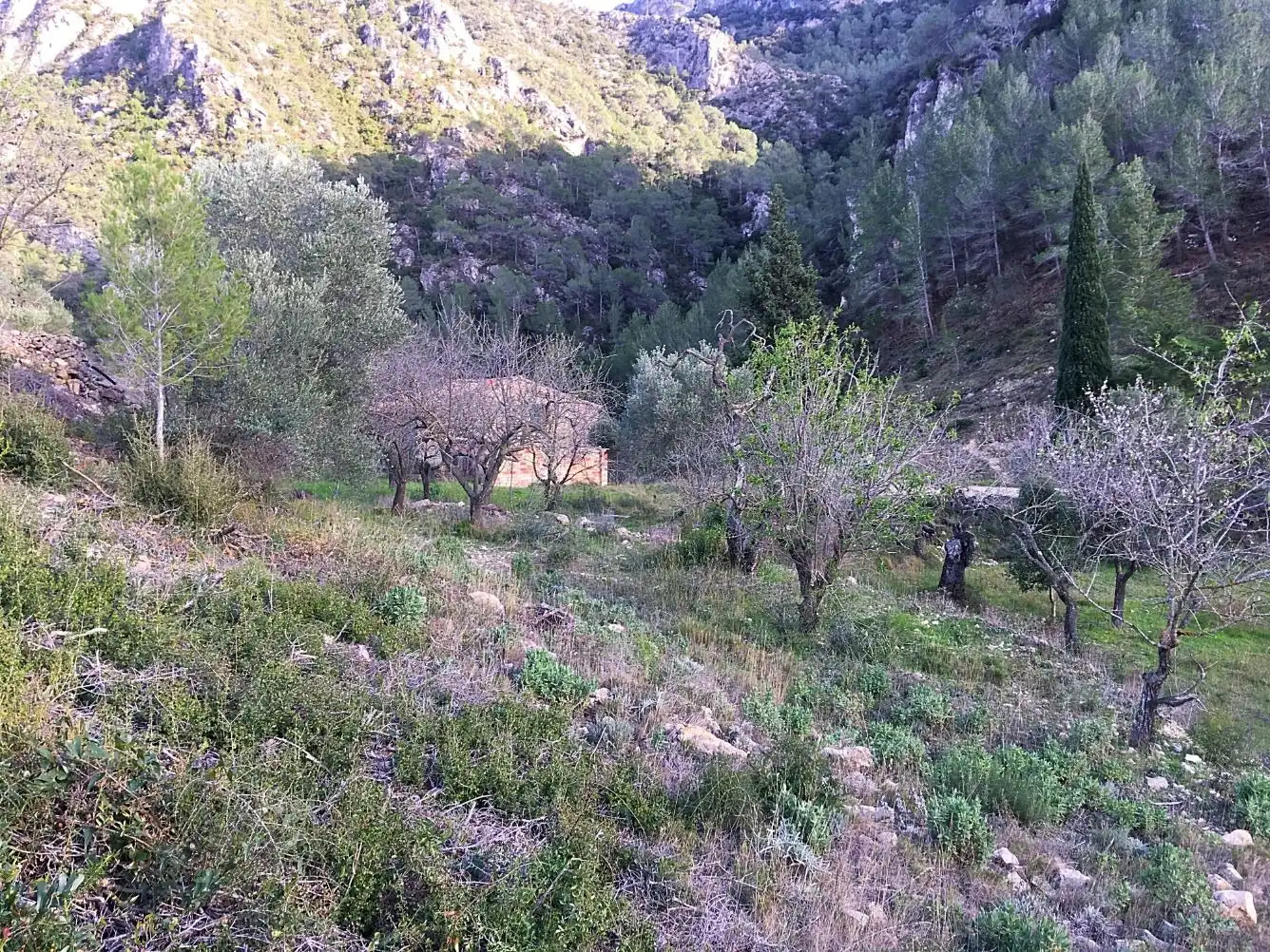 Country house for sale in Benifallet, imagen 33