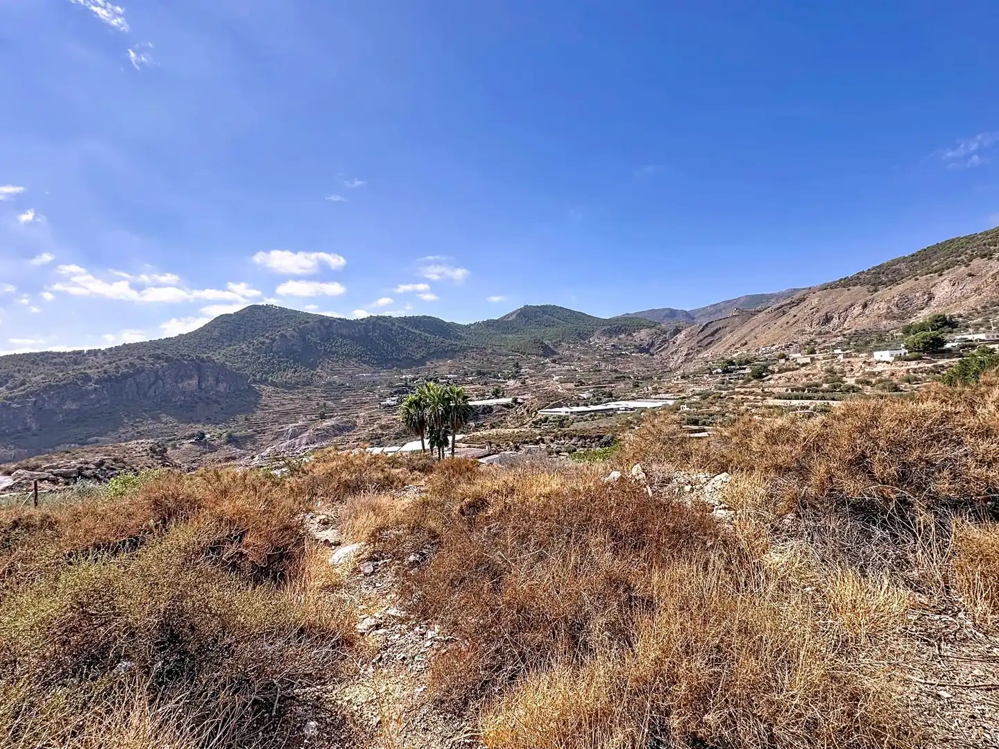 Residential land for sale in Alhama de Almería, imagen 7