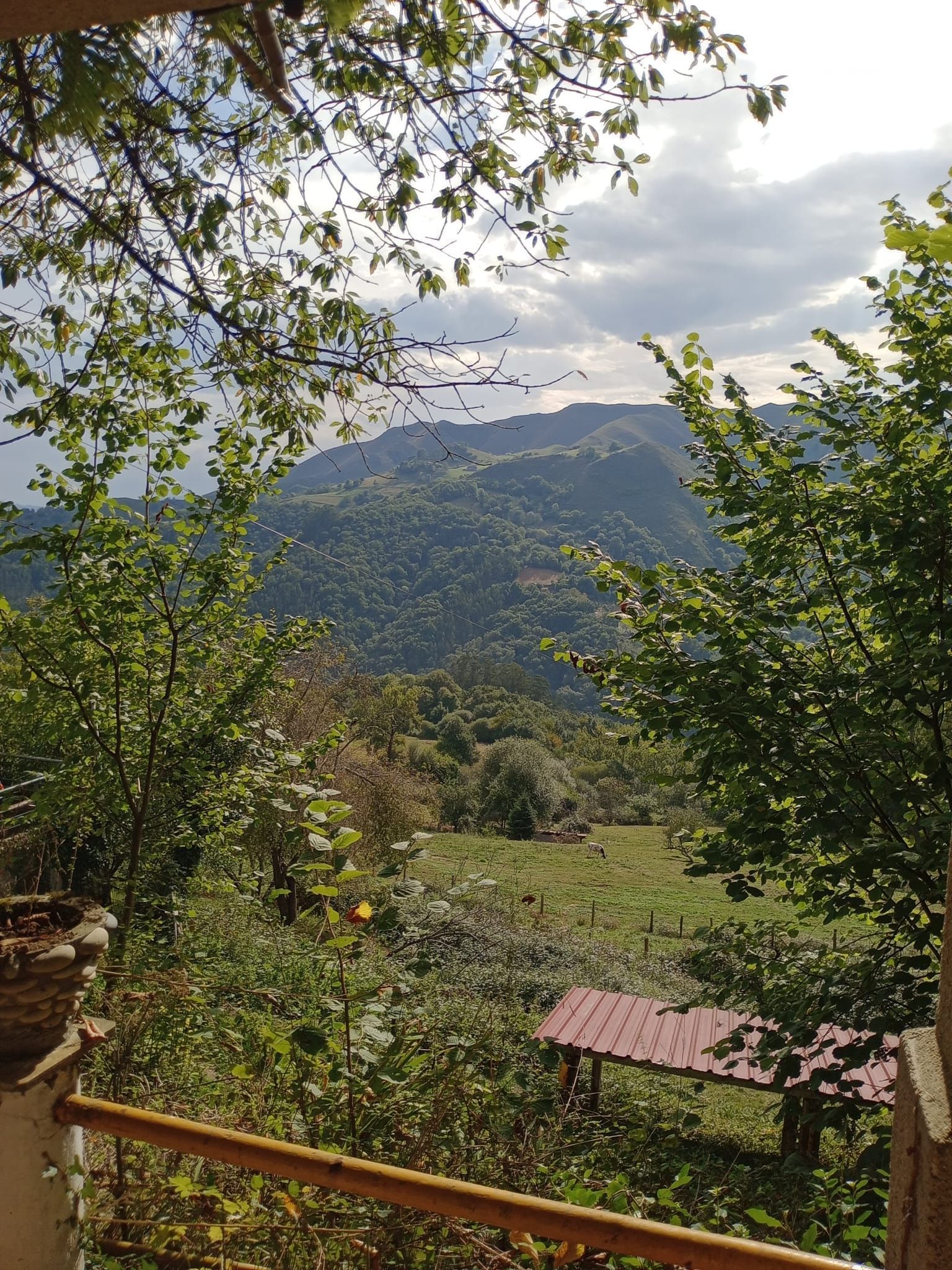 Vista exterior de Casa o xalet en venda en Piloña