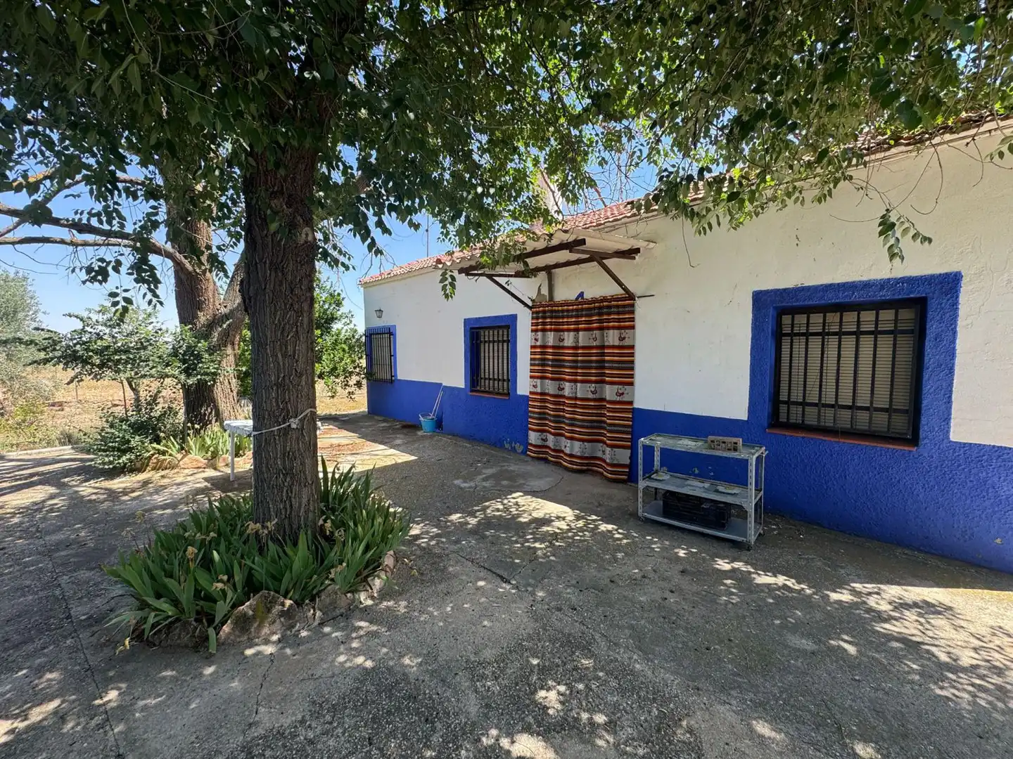 Vista exterior de Finca rústica en venta en Valdepeñas con Piscina