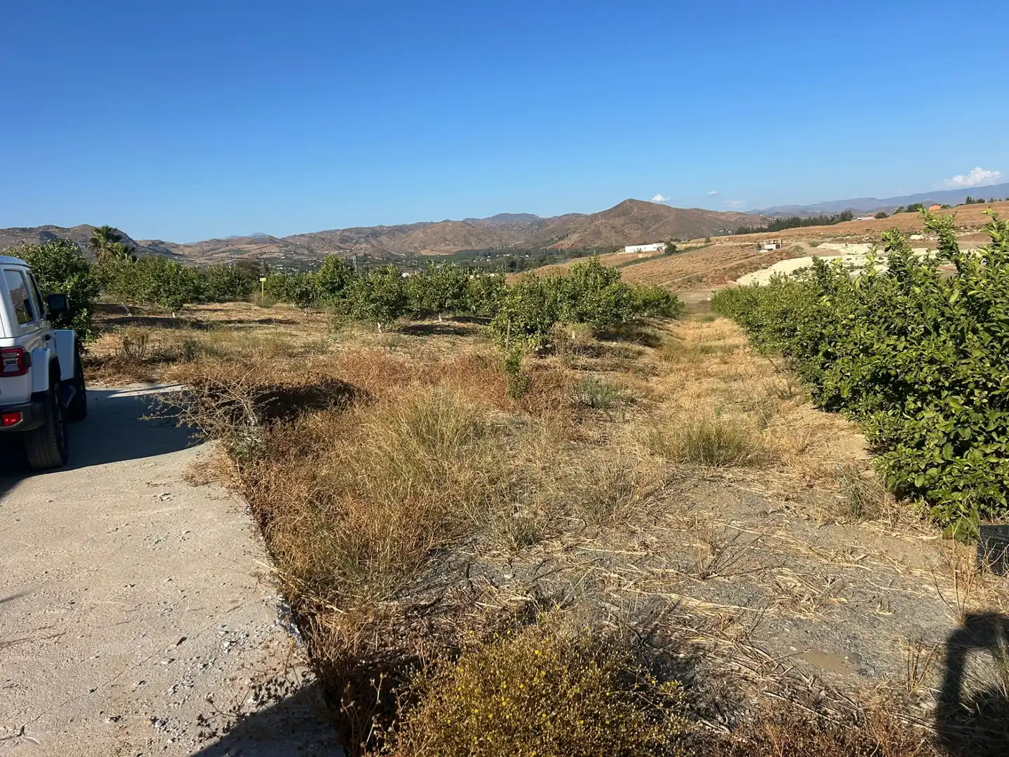 Rustikales Grundstück zum Verkauf in Casalpalma - Fahala, imagen 3