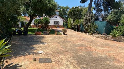 Encantadora finca urbana  en el centro del pueblo, imatge 2