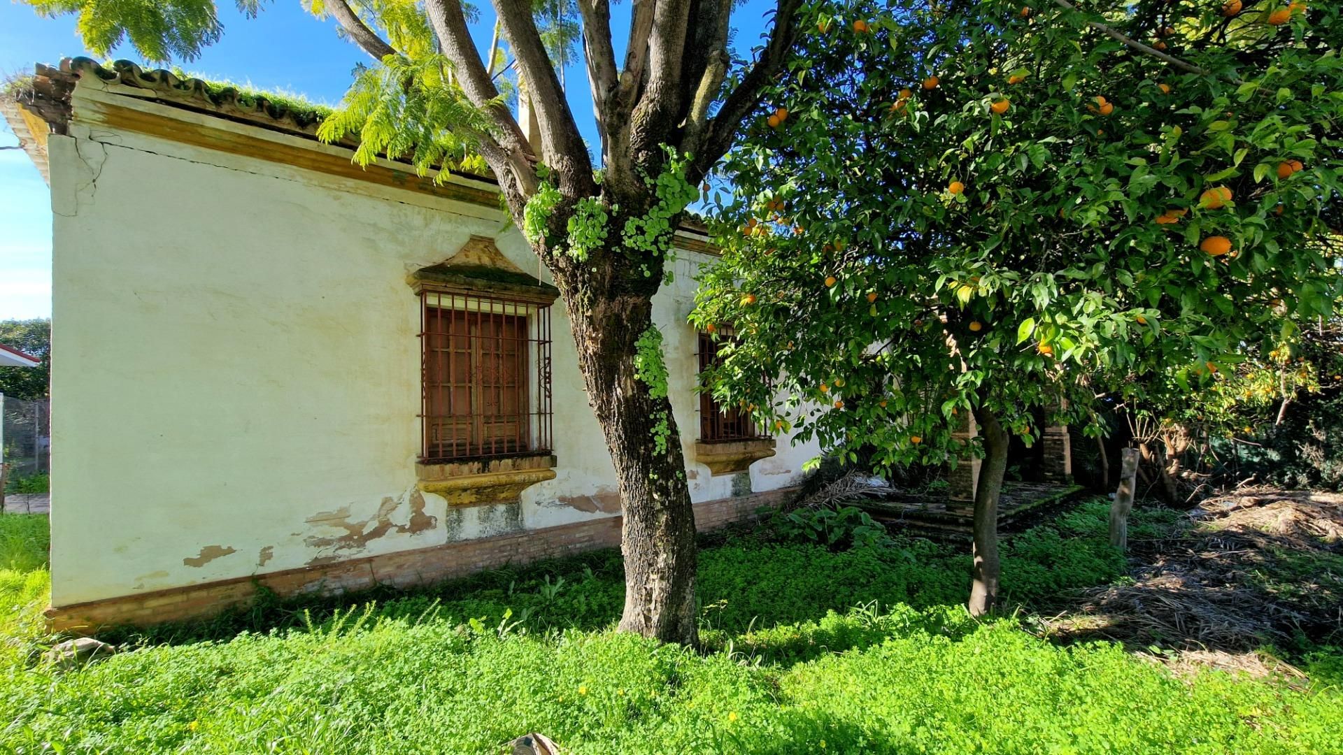 Vista exterior de Casa o xalet en venda en Valencina de la Concepción amb Jardí privat i Traster