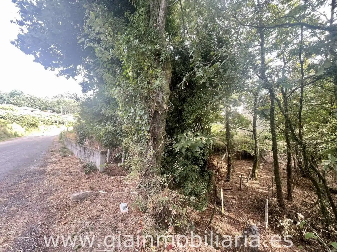 Terreny rústic en venda a Camino Pregal 5, imagen 12