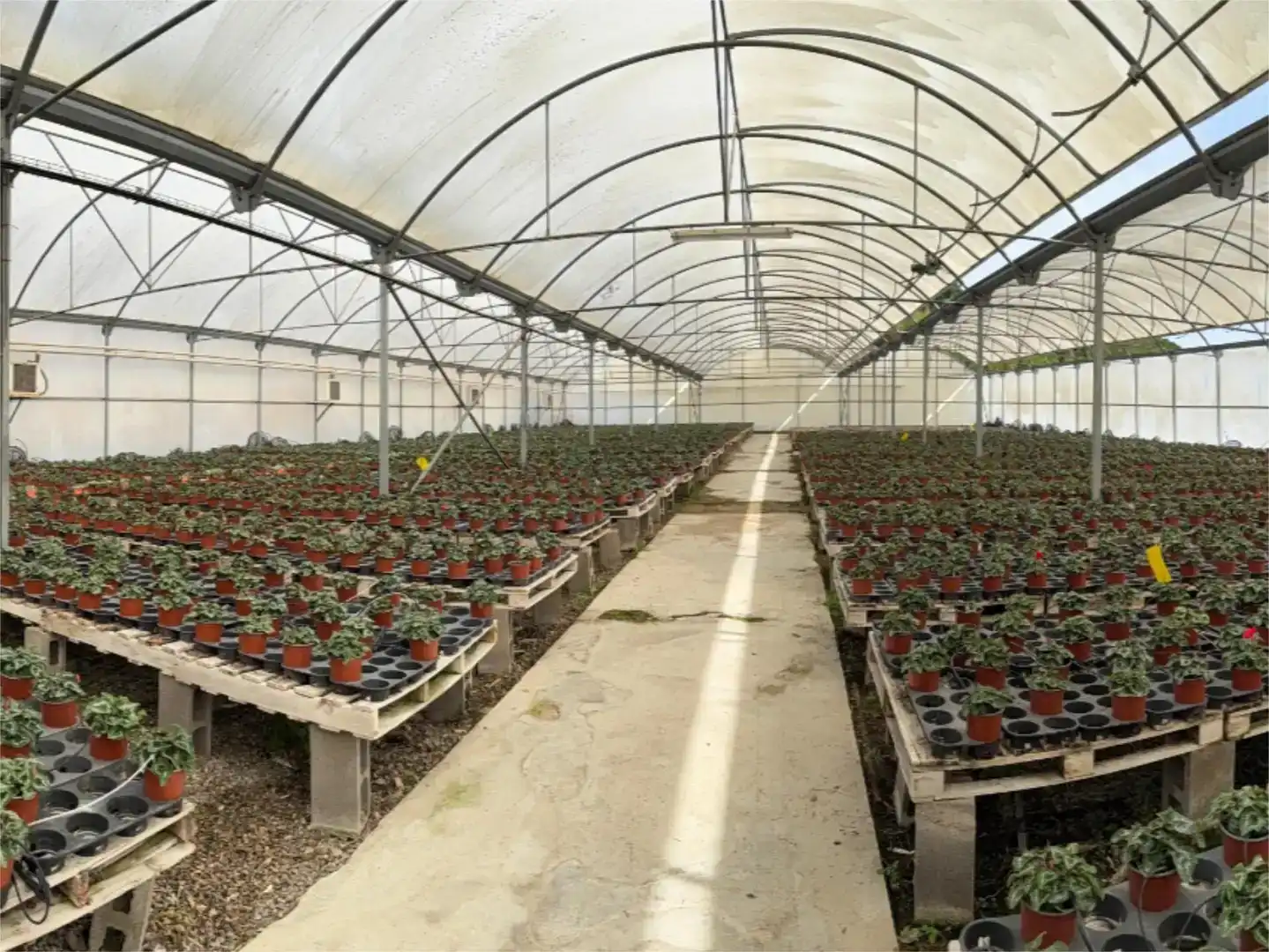 Jardín de Piso en venta en Canet de Mar