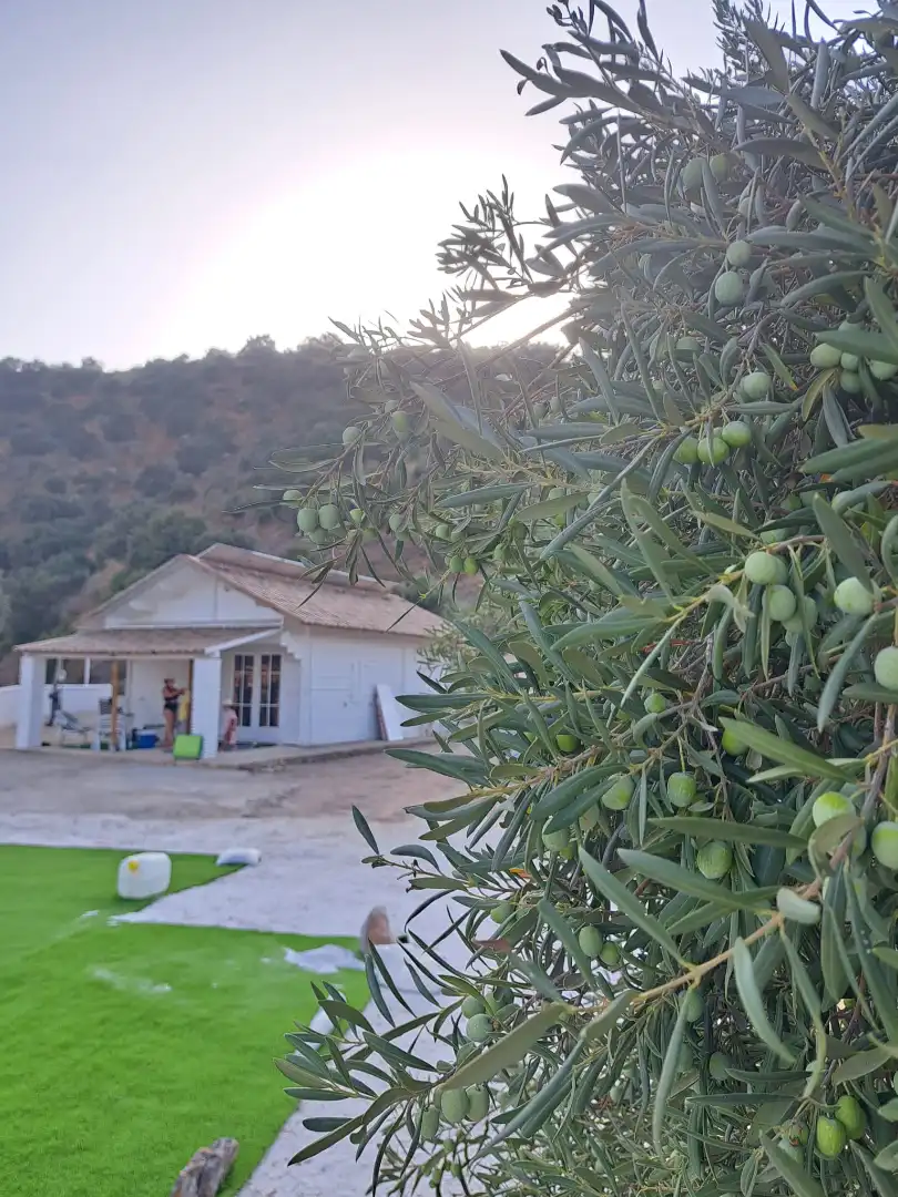 Casa o xalet en venda en Málaga amb Moblat
