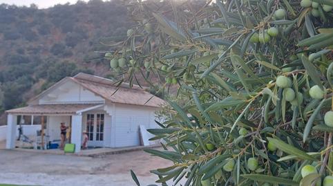 Foto 5 de Casa o xalet en venda a Carretera de Casabermeja, Residencial Jardín Botánico, Málaga